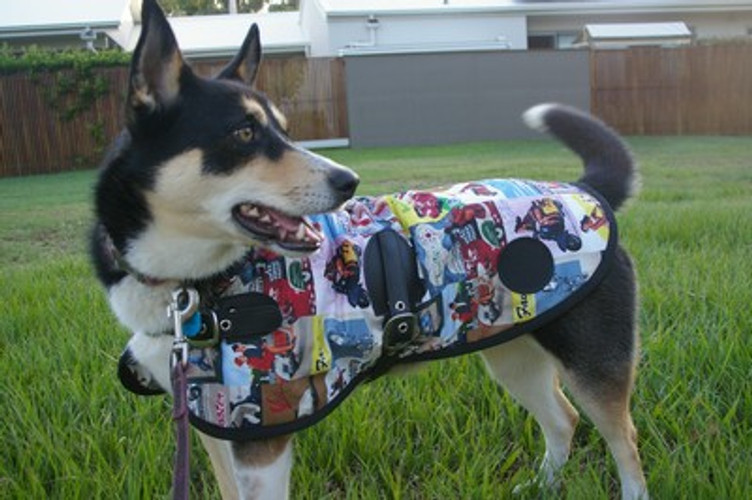Wet Weather and Your Dogs......5 Things To Consider.