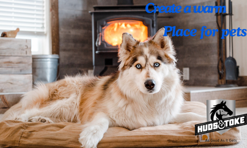 Keeping Your Pets Warm During the Winter Months