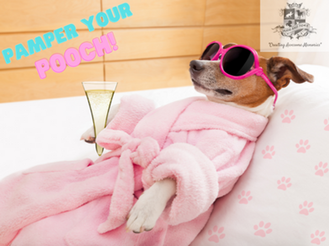 Christmas Gift Ideas for Pet Lovers.