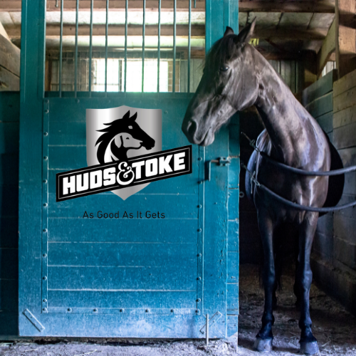 REDUCE STRESS IN STABLED HORSES 