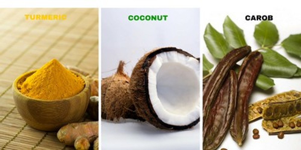 Gourmet Dog Treats – look good and practical