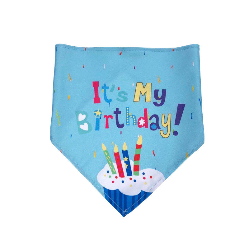 Dog Birthday Party Costumes for Dogs