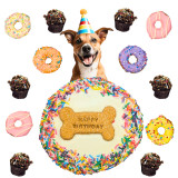 Huds and Toke Dog Birthday Party Pack  Bundle - Multi Coloured Sprinkle Cake