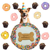 Dog Birthday Party - Party Pack by Huds and Toke - Yoghurt Puppy Cake with 100s and 1000s