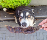Kangaroo Jerky - Large - 1KG - DOG Treats (packaging) — Australian made dog treats by Huds and Toke