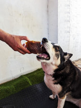 COW Hooves - Hoofs - 1KG - DOG Treats (back view) — Australian made dog treats by Huds and Toke
