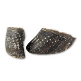 COW Hooves - Hoofs - 1KG - DOG Treats (close-up) — Australian made dog treats by Huds and Toke