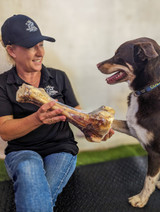 Beef Dino Bone - 1Pce - DOG Treats (close-up) — Australian made dog treats by Huds and Toke