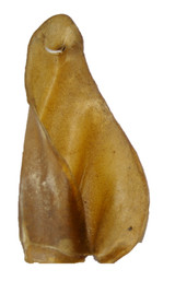 Australian Beef Ears - DOG Treats, Australian made dog treats by Huds and Toke