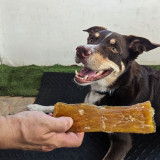 Beef Tendons - 1KG - DOG Treats (close-up), Australian made dog treats by Huds and Toke
