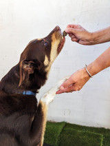 Lamb Liver - DOG Treats (lifestyle), Australian made dog treats by Huds and Toke