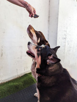 Kangaroo Liver - DOG Treats (packaging) — Australian made dog treats by Huds and Toke