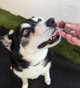 Kangaroo Jerky Cubes - DOG Treats (packaging), Australian made dog treats by Huds and Toke