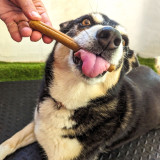 Chicken Sticks 13Cm - 25Pce - DOG Treats (close-up), Australian made dog treats by Huds and Toke