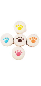 Cheesy PAW Frosted Cookie - DOG Treats — Australian made dog treats by Huds and Toke