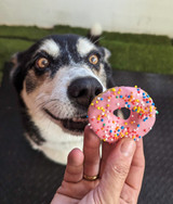BIG Doggy Donuts - DOG Treats (lifestyle) — Australian made dog treats by Huds and Toke