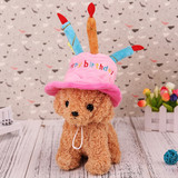 DOG or CAT Happy Birthday Cake Candle Party HAT (packaging), Australian made dog treats by Huds and Toke