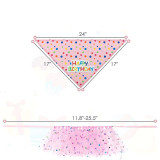 Pink DOG Birthday Spotty Tutu With Party HAT AND Bandana (back view), Australian made dog treats by Huds and Toke