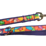 Jelly Bean DOG LEAD FOR MEDIUM TO SMALL DOG CLOSE UP