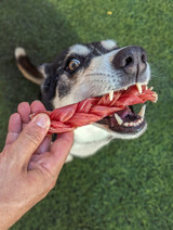 Braided Bull Chew - Small - DOG Treats (close-up), Australian made dog treats by Huds and Toke