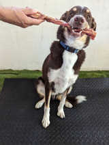 Braided Bull Chew - Large - DOG Treats (packaging), Australian made dog treats by Huds and Toke
