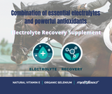 Advanced Equine, Electrolyte Recovery Supplement (back view), Australian made horse treats by Huds and Toke