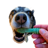 Dentapet – Dental Chews - Small to Medium Dogs (back view) — Australian made dog treats by Huds and Toke
