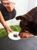 Meal Topper Sprinkles - 100G - DOG Treats (lifestyle) — Australian made dog treats by Huds and Toke