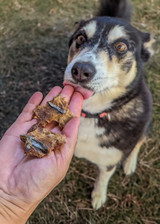 Australian Tuna - DOG Treats — Australian made dog treats by Huds and Toke