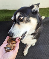 Australian Tuna - DOG Treats (close-up), Australian made dog treats by Huds and Toke