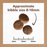 Ivory Coat Grain Free Adult DRY CAT Food Chicken AND Kangaroo (back view) — Australian made cat treats by Huds and Toke