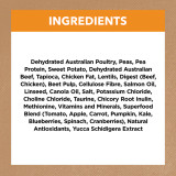 Ivory Coat Grain Free Adult DRY CAT Food Chicken (close-up) — Australian made cat treats by Huds and Toke