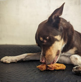 Ultimate DOG Treat Bundle - DOG Treats (back view) — Australian made dog treats by Huds and Toke
