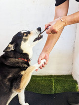 Large Snuffle Ball DOG Treat Bundle - DOG Enrichment Treats (lifestyle), Australian made dog treats by Huds and Toke