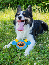 Crazy Monster Face DOG TOY With Ball - 1Pce — Australian made dog treats by Huds and Toke