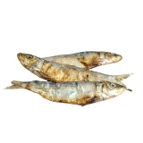 Australian Whole Sardines - DOG Treats (close-up), Australian made dog treats by Huds and Toke