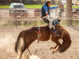 Understanding the Reasons Why Your Horse Bucks. 