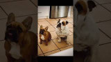 A Little Treat Goes Along Way!!!