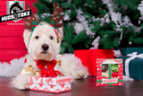 Christmas Gift Ideas for Pet Lovers