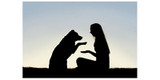 ADOPT A PET - IT CAN BE A GREAT OPTION!!!