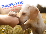 Time to Give Thanks.  And Presents.  Pet Treats can be a great Idea.