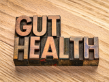 How To Keep Your Pets Gut Health In Good Condition