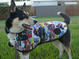 Winter is Coming...... Lets prepare our Dogs, and pets, for the Colder Months ahead! 