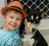 Pet People Are All The Same The World Over!!!