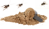 How Insect Protein Promotes Optimal Health for Dogs