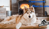 Keeping Your Pets Warm During the Winter Months