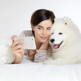 6 Tips For Taking Great Photos Of Your Pet.