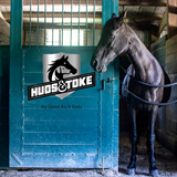 REDUCE STRESS IN STABLED HORSES 