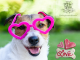 VALENTINES DAY PET TREATS MAKE GREAT GIFTS TO LOVED ONES!