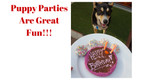 Making our Huds and Toke Doggy Birthday Cakes Dog Treats with Pride
